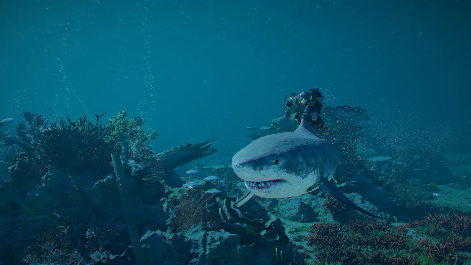 A diver rides a shark above coral in an official Crimson Desert: Charting the Unknown gameplay screenshot.