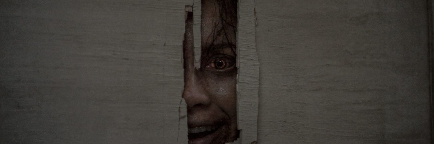 A terrified woman peers through a narrow gap in a wooden door in Warner Bros. Discovery's official Evil Dead Burn press image.