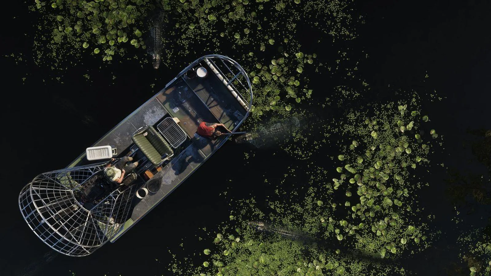 An airboat in the Grassrivers wetlands in Grand Theft Auto VI