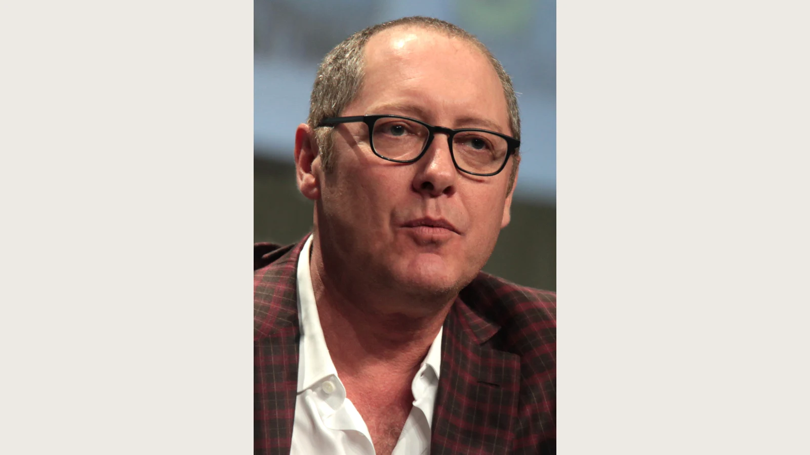 James Spader at San Diego Comic-Con in July 2014.